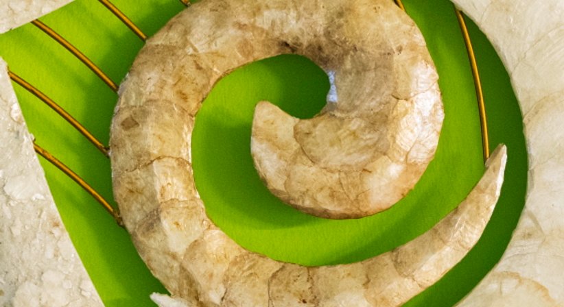 Schwangerschaft, Mutter-Kind-Pass Untersuchungen - Dr. med. univ. Gabriele Haitzmann - Frauenärztin Salzburg 5020