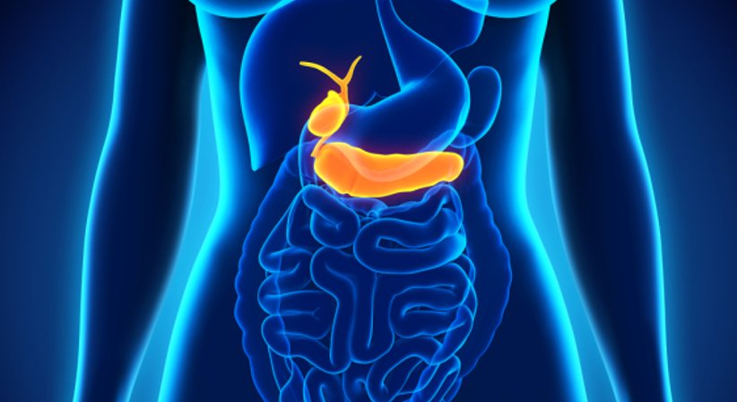 Gallensteine - OA Priv. Doz. Dr. Alexander Prusa, FACS, FICS - Allgemeinchirurg Wien 1180