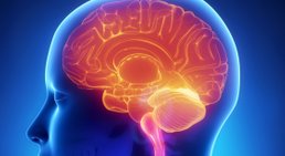 Priv. Doz. Dr. Camillo Sherif - Neurochirurg Wien 1060