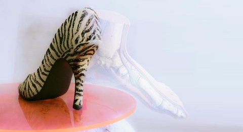 OA Dr. Thomas Czurda - Orthopäde Wien 1080