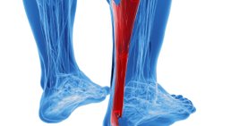 OA Dr. Thomas Czurda - Orthopäde Wien 1080