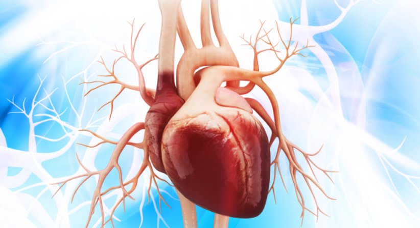 Herzklappenerkrankungen - Prof. PD Mag. Dr. Lukas Fiedler, FESC - Internist Wien 1230