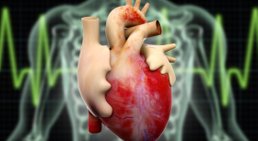 Prof. PD Mag. Dr. Lukas Fiedler, FESC - Internist Wien 1230