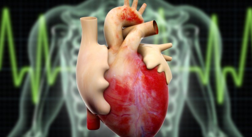 Katheterablation bei Herzrhythmusstörungen - Prof. PD Mag. Dr. Lukas Fiedler, FESC - Internist Wien 1230