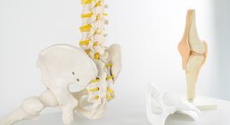 Dr. Christoph Bauer - Orthopäde Wien 1230