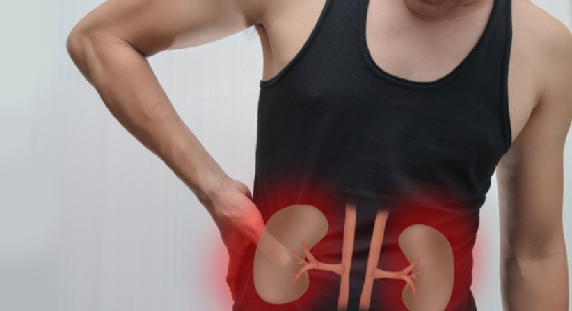 Chronische Niereninsuffizienz - Dr. Dagmar Aftenberger - Praktische Ärztin Wien 1180