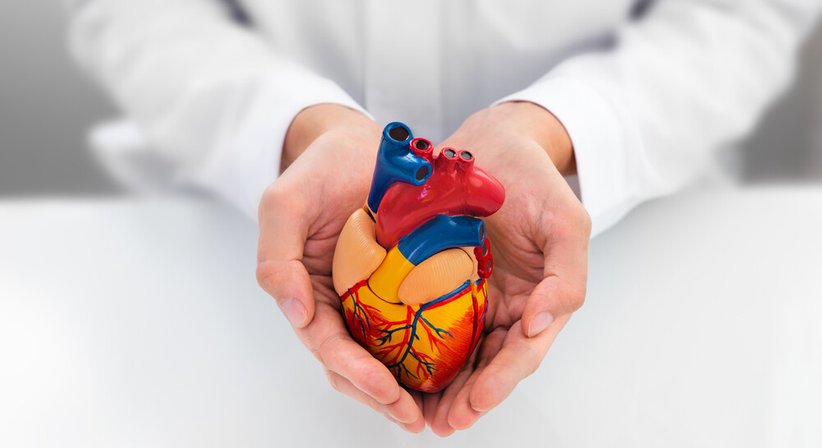 Herzklappenerkrankungen - OA Dr. David Weidenauer - Kardiologe Wien 1090