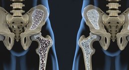 Prim. Dr. Werner Anderl - Orthopäde Mödling 2340