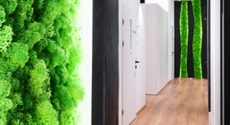 DDDr. Alwin Sokolowski - Zahnarzt Kumberg 8062