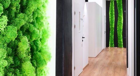 DDDr. Alwin Sokolowski - Zahnarzt Kumberg 8062