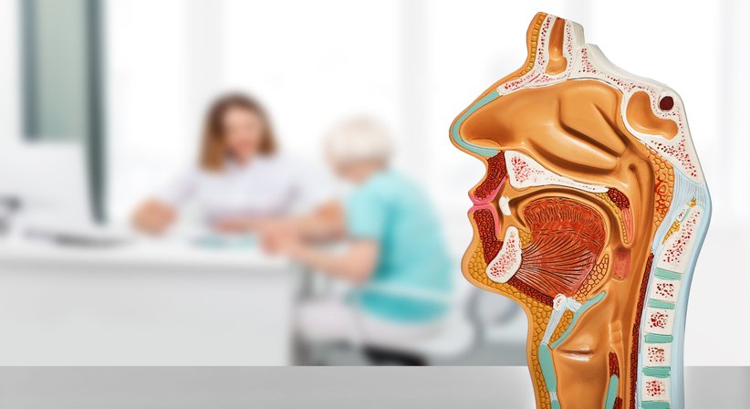 Schnarchprobleme - Dr. Anahid Seraydarian - HNO-Ärztin Wien 1150