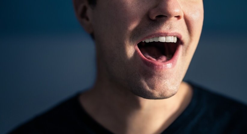 Stimmstörungen - Dr. Anahid Seraydarian - HNO-Ärztin Wien 1150