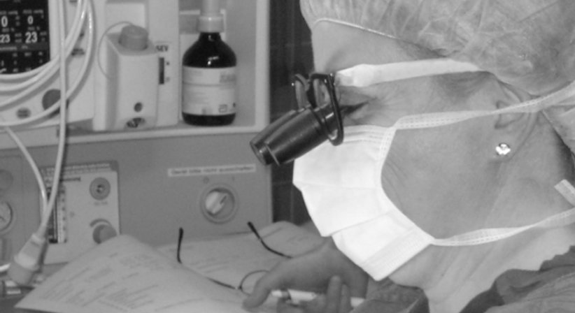 Ästhetische Operationen - Univ.-Doz. Dr. Brigitta Balogh - Plastische Chirurgin Wien 1210