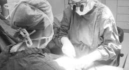 Univ.-Doz. Dr. Brigitta Balogh - Plastische Chirurgin Wien 1210