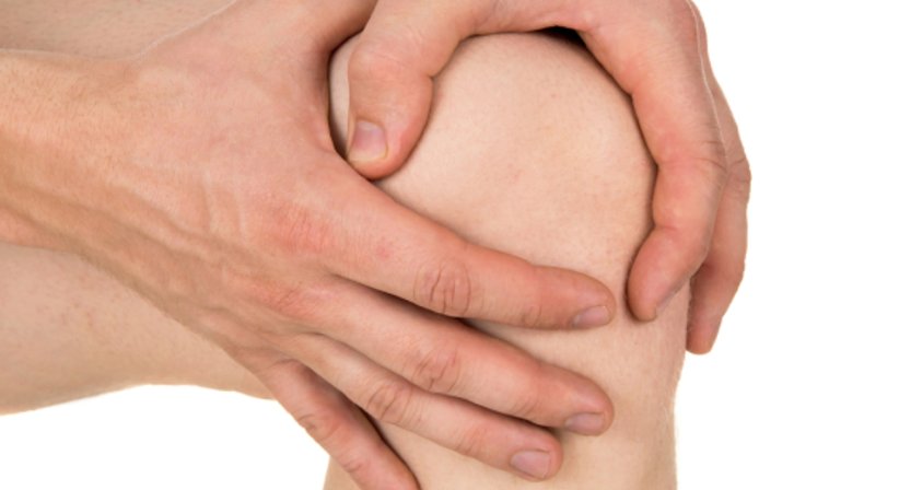 Knorpelaufbau - Dr. med. univ. Georg Neubauer - Orthopäde Bad Fischau-Brunn 2721