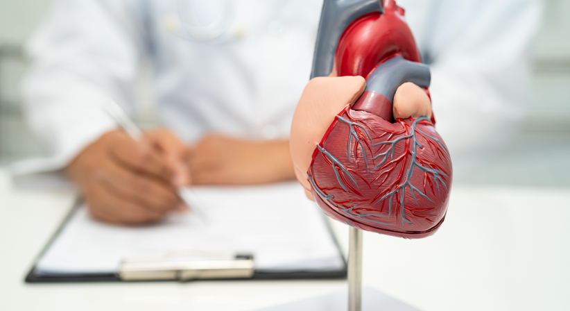 Abklärung von Herz-Kreislauferkrankungen - Dr. med. Clemens Ziller - Allgemeinmediziner und Familienmediziner Wien 1010