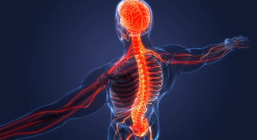 Spinalkanalstenose - Dr. Milan Stanojevic - Neurochirurg Wien 1030