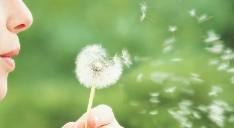 Nasenatmungseinschränkung - Dr. Szabolcs Horvai - HNO-Arzt Wien 1020