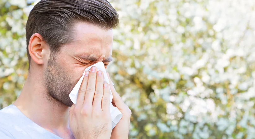 Allergie - Dr. Szabolcs Horvai - HNO-Arzt Wien 1020