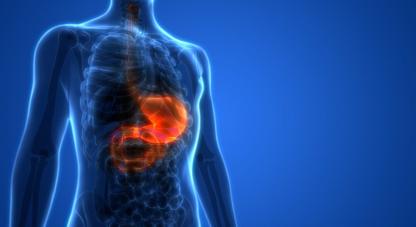 Gastroskopie - Doz. Dr. Franz Martin Riegler - Allgemeinchirurg/Viszeralchirurg Wien 1090