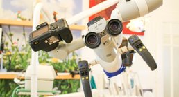 Dr. Andrea Bednar-Brandt - Zahnärztin Wien 1080