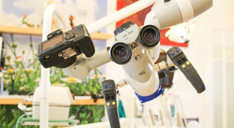 Dr. Andrea Bednar-Brandt - Zahnärztin Wien 1080