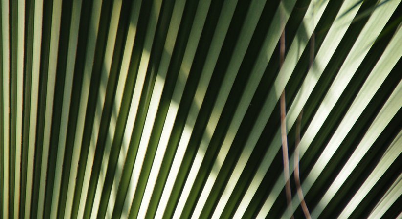 Epilepsie - Univ.Doz. Dr. Josef Spatt - Neurologe Wien 1070