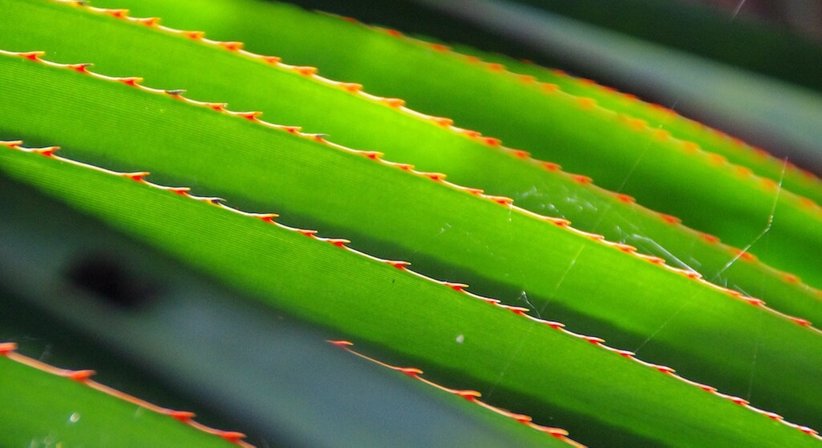 Parkinson - Univ.Doz. Dr. Josef Spatt - Neurologe Wien 1070