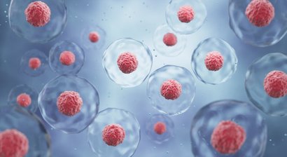 Autologe Stammzellentherapie - regenerative Medizin