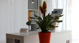 Praxis - Dr. Jaroslava Salat - Frauenärztin Wien 1120