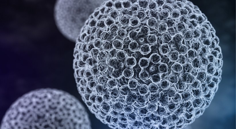 HPV - Dr. Jaroslava Salat - Frauenärztin Wien 1120