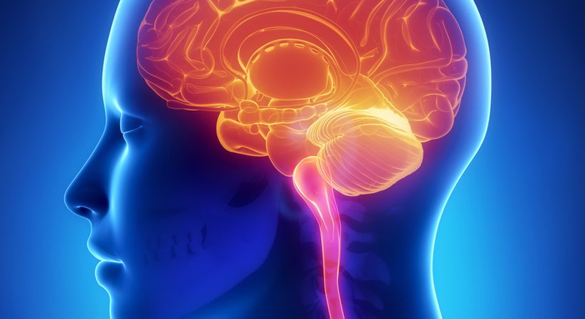 Nachsorge nach Schädel-Hirn Trauma - Dr. Matej Kalina - Neurologe Eisenstadt 7000