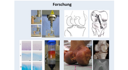 Prof. Dr. Dr. med. Patrick Sadoghi - Orthopäde Graz 8010