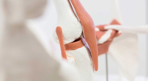 OA Dr. Rupert Schuster - Orthopäde Wien 1070