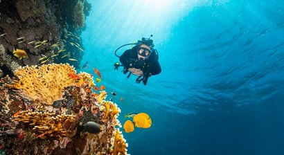 Taucherattest (Tauchtauglichkeitsuntersuchung)