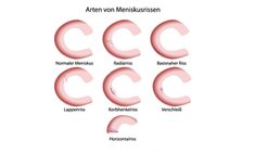 Priv.-Doz. Dr. Katja Emmanuel - Orthopädin Salzburg 5020