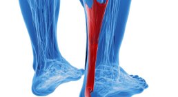 Dr. Bahram Mossawat - Orthopäde Wien 1010