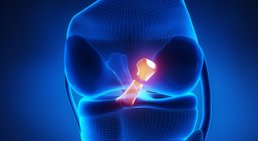 Dr. Bahram Mossawat - Orthopäde Wien 1010