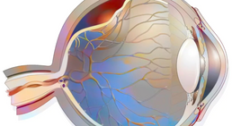 OA Dr. med. univ. Reza Fazeli - Augenarzt Wien 1220