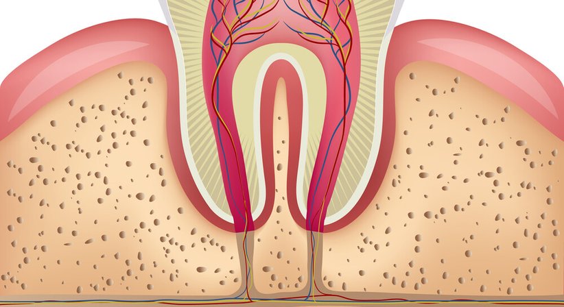 Wurzelbehandlungen - Dr. Dr. med. univ. Johannes Küfler - Zahnarzt Illmitz 7142