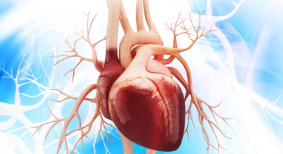 Herzerkrankungen
