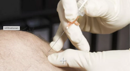 Univ.Prof. Dr. Anna Spacek - Praktische Ärztin Wien 1040