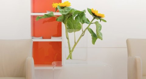 Dr. Claudia Kloodt, MSc. - Zahnärztin Wien 1090