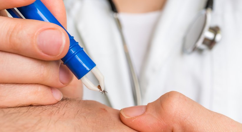 Borreliose - Dr. Calipso Reif-Pröll - Praktische Ärztin Asperhofen 3041