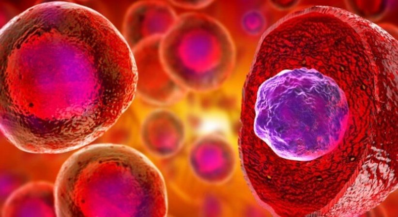 Orthomolekulare Medizin - Dr. Calipso Reif-Pröll - Praktische Ärztin Asperhofen 3041