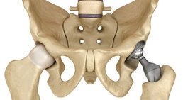 Prof. Priv.-Doz. Dr. David Stelzeneder - Orthopäde Wien 1080
