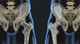 Prof. Priv.-Doz. Dr. David Stelzeneder - Orthopäde Wien 1080