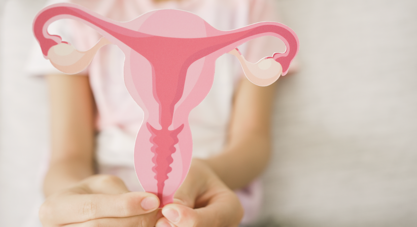 Mädchensprechstunde - OA Dr. Franz Roithmeier - Frauenarzt Wien 1060