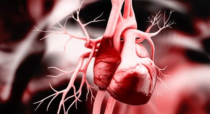Transösophageale Echokardiografie (Schluckecho)