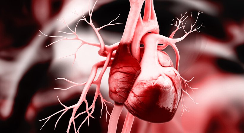 Transösophageale Echokardiografie (Schluckecho) - OA Dr. Gerhard L. Jansky - Kardiologe Salzburg 5020